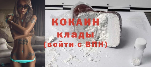 шишки Белокуриха