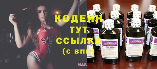 шишки Белокуриха