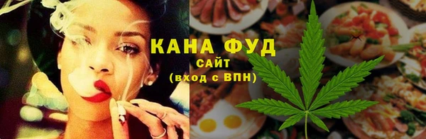 шишки Белокуриха