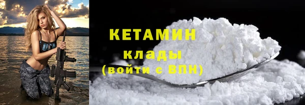 шишки Белокуриха