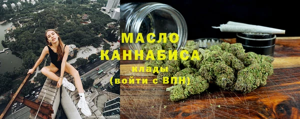 шишки Белокуриха