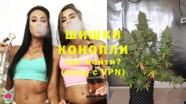 spice Беломорск