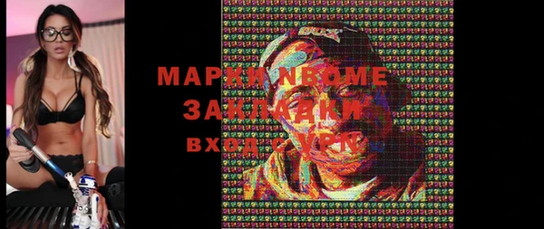 шишки Белокуриха