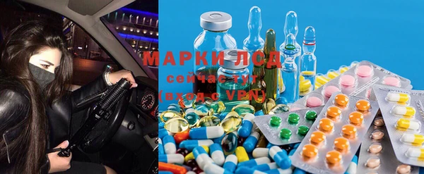 spice Беломорск