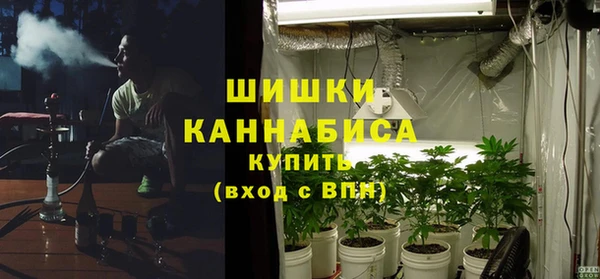 шишки Белокуриха